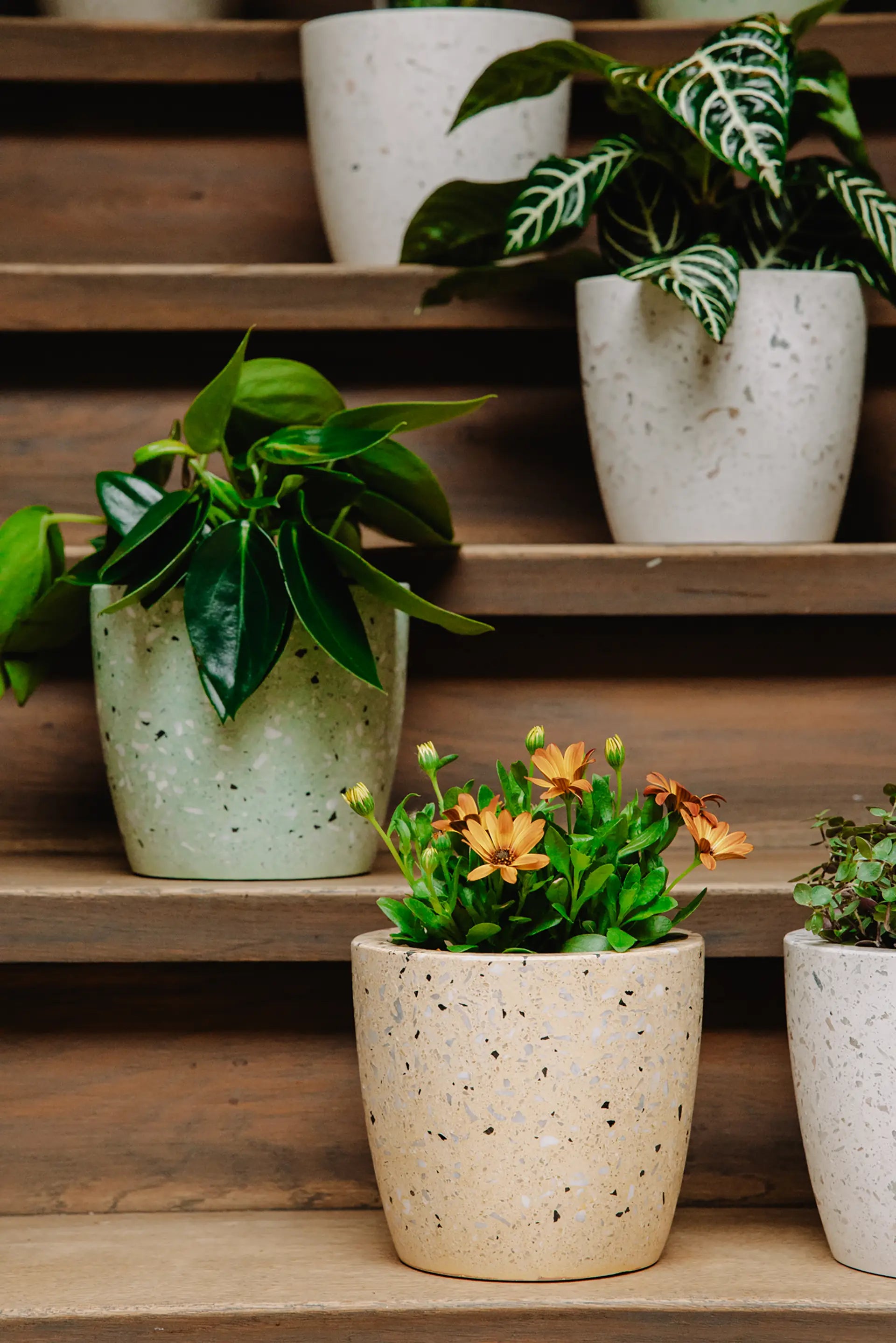Design Bloempot - Geel
