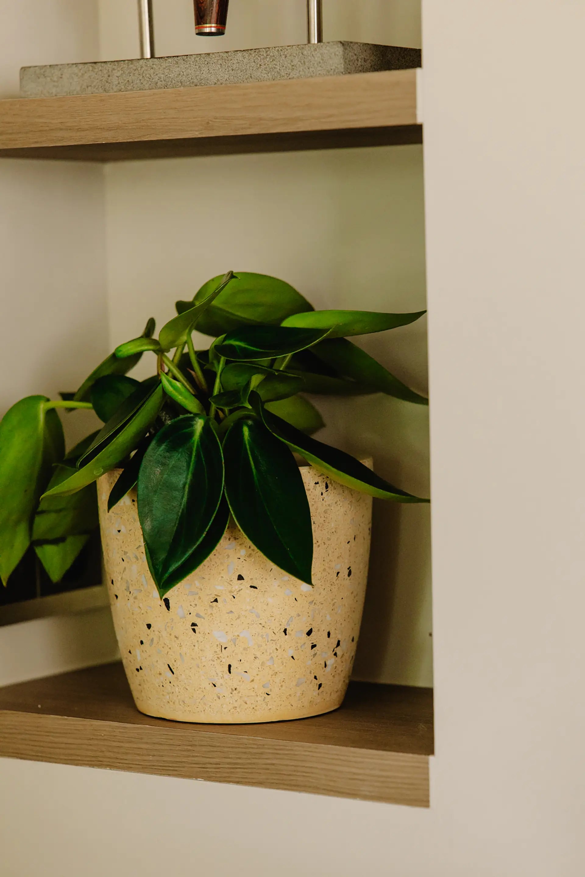 Design Bloempot - Geel