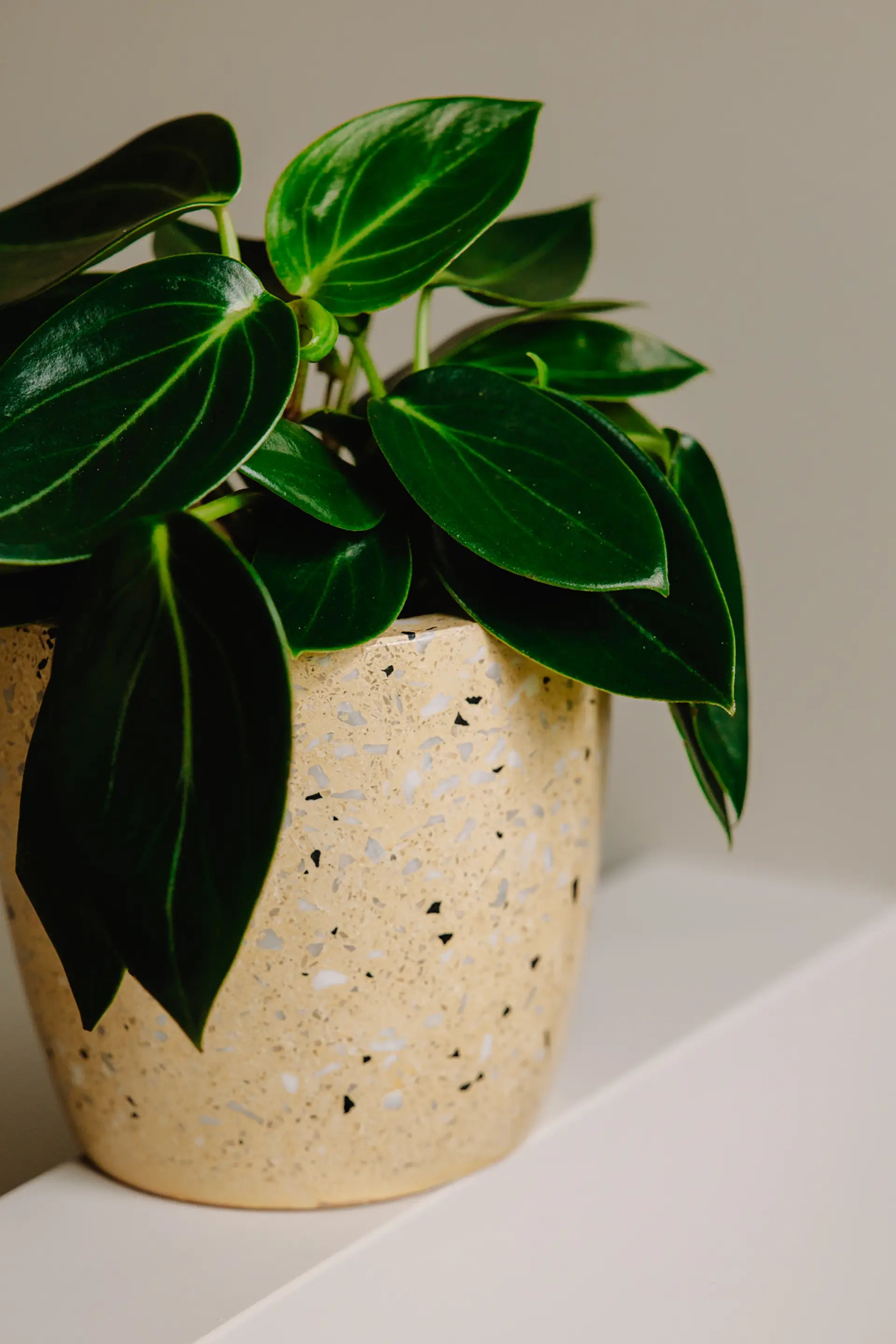 Design Bloempot - Geel