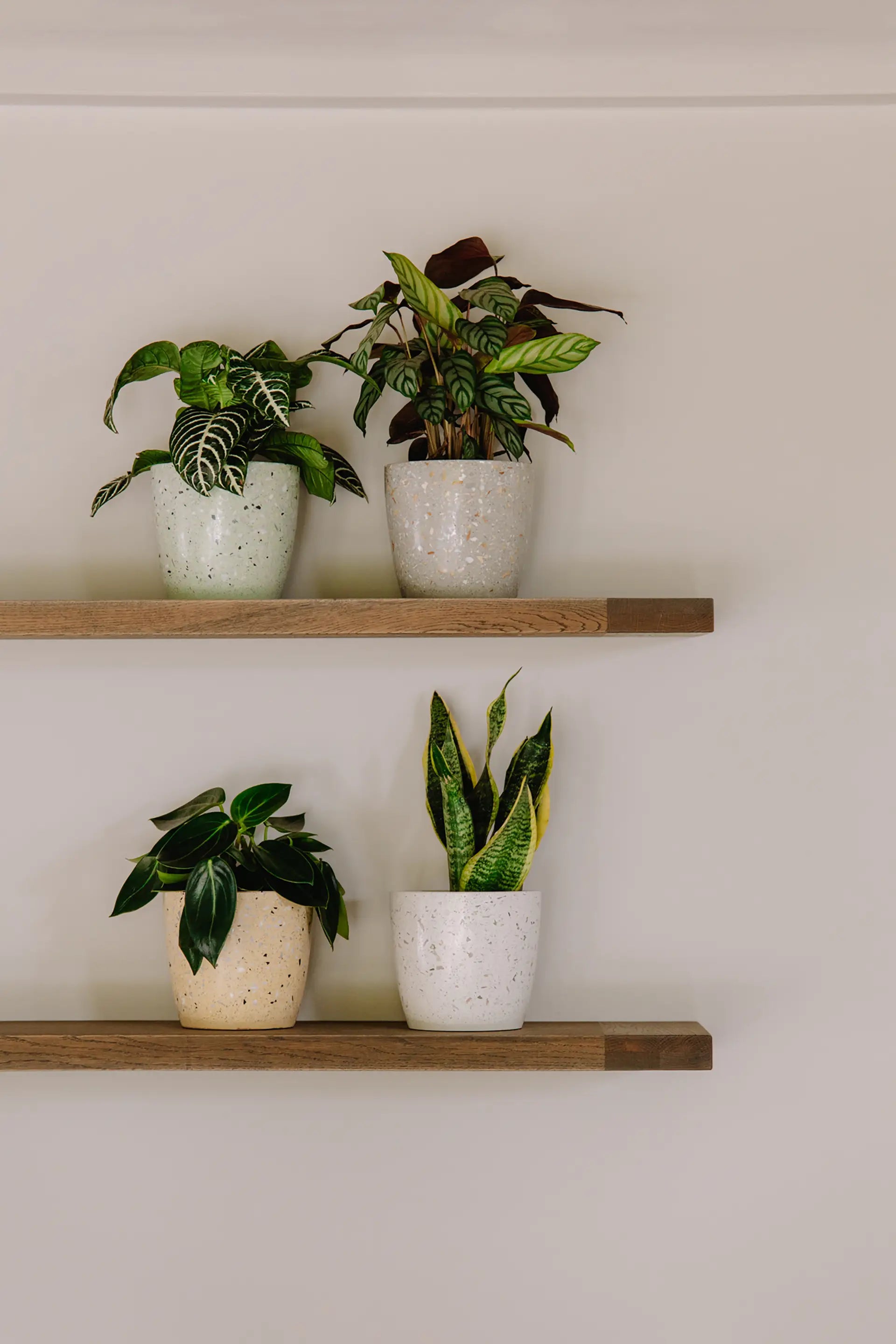 Design Bloempot - Geel