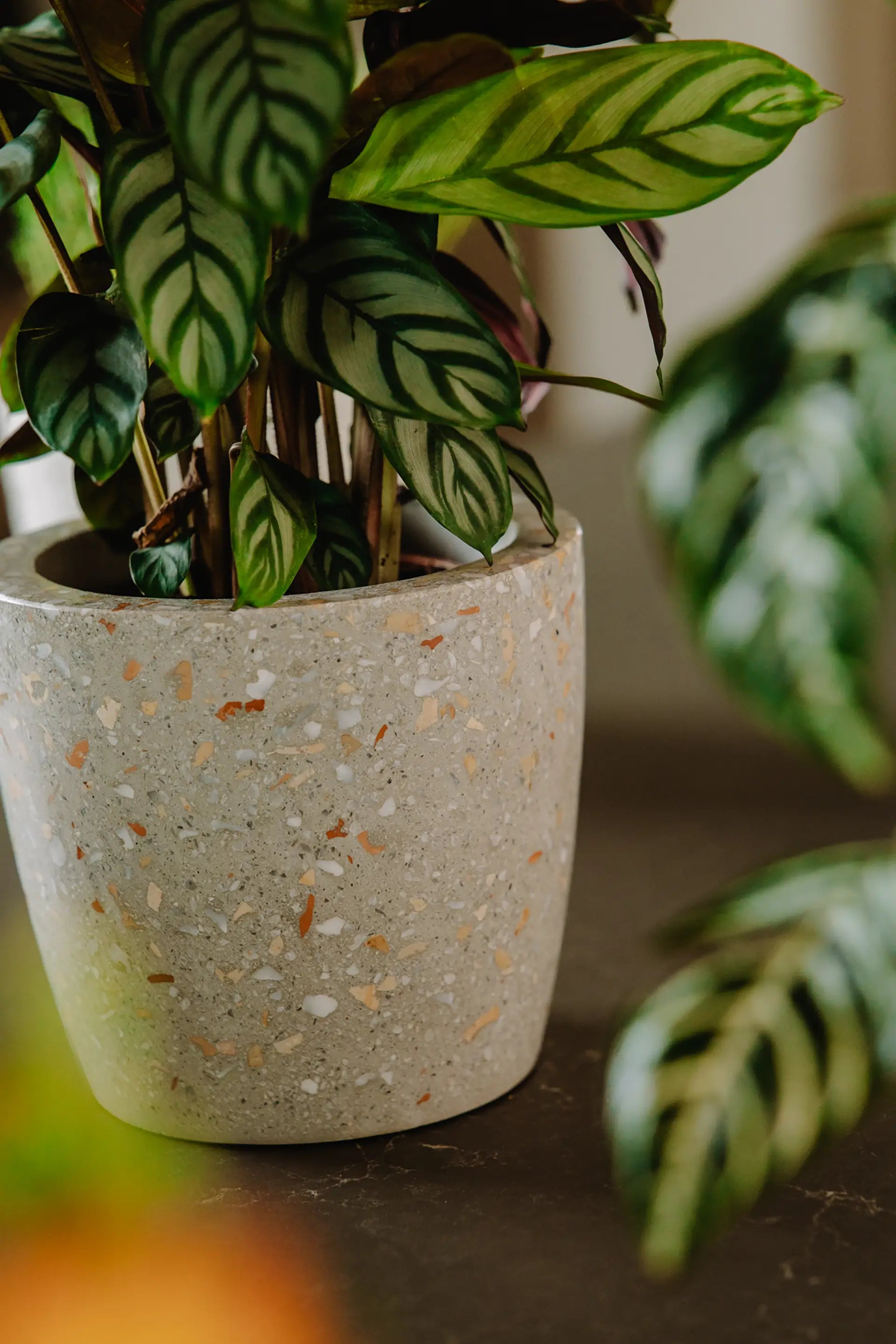 Design Bloempot - Grijs