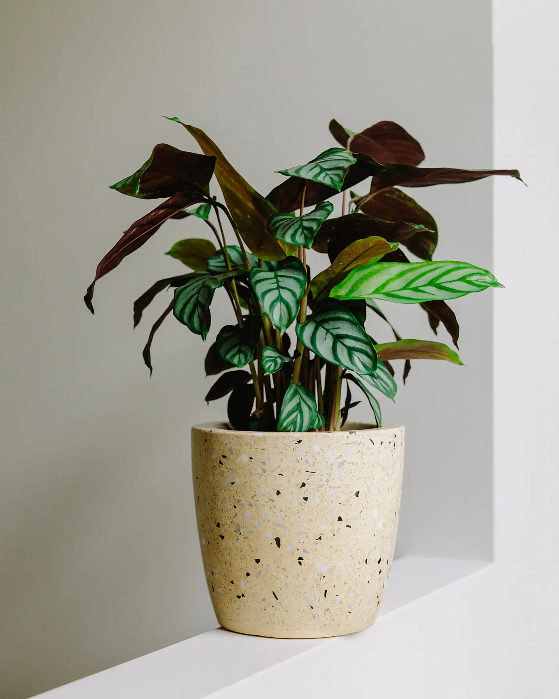 Design Bloempot - Geel